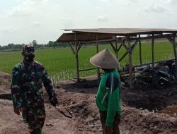 Babinsa Kampung Suka Makmur Ajak Petani Tetap Produktif Jaga Ketahanan Pangan Dimasa pandemi Covid-19