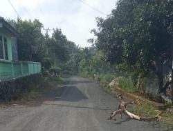 Pembangunan Jalan Lapen Dusun 4 dan 5 Kampung Campang Lapan Telah Rampung