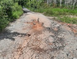 Masyarakat Tiyuh Penumangan Keluhkan Jalan Provinsi Yang Nyaris Putus